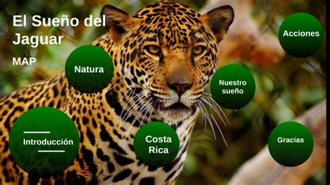  “El Sueño del Jaguar”: Una Visión Onírica de la Naturaleza y el Poder Animal